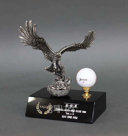 주석트로피JG493