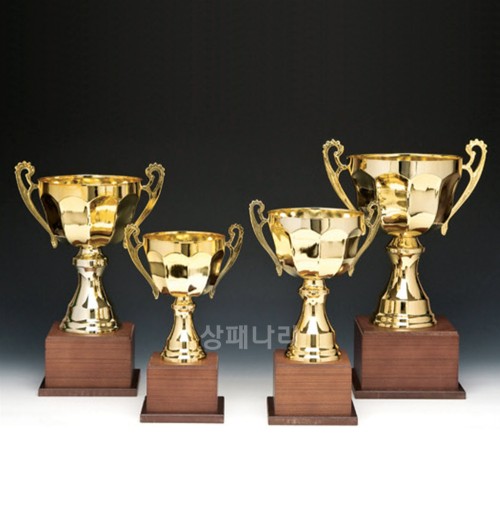 금속 트로피G331