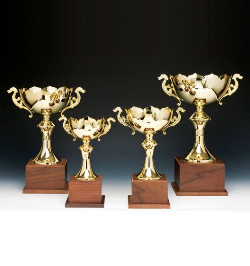 금속 트로피G330