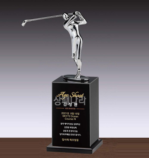 조각가트로피G511